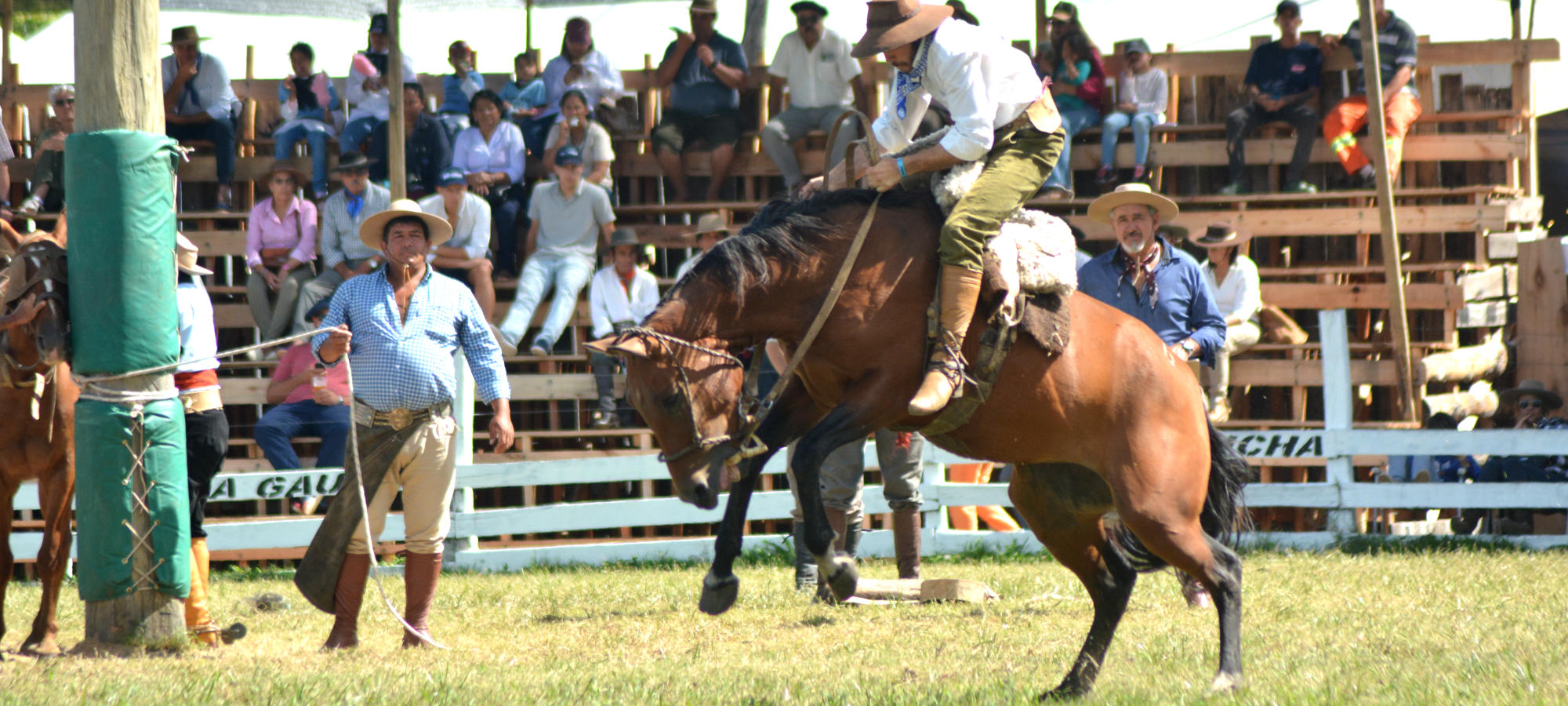 Mejor Jinete: protagonistas de una historia de destreza y tradición