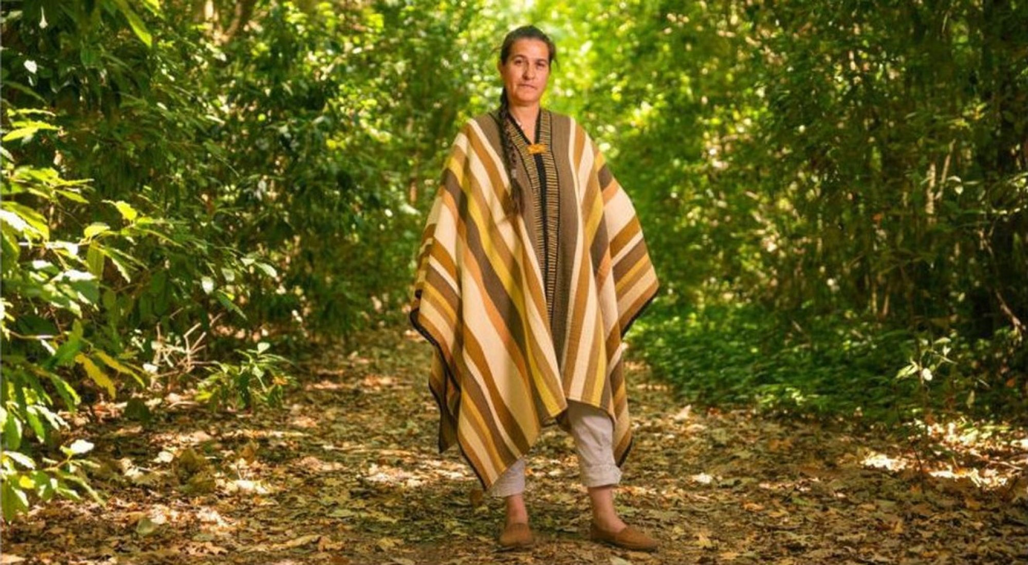 Historias de Ponchos